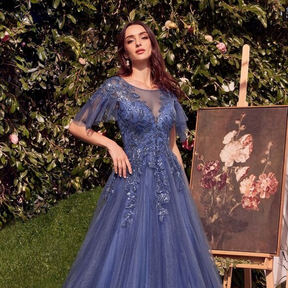 NEW LONG FORMAL A-LINE FLORAL LACE EMBELLISHED TULLE GOWN W/ V-NECK CD A1351